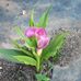 Jacqueline Fleck - Facebook