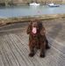 Jackie Flood - Facebook