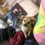 Jackie Floyd - @jackie.floyd.56027 - Instagram