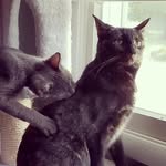 Jackie & Frank - @jackie_and_frank - Instagram