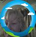 Jackie Frank - Facebook