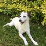 Jackie Frederick Burd - @jkbrown45 - Instagram