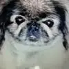 Jackie - @jackiefrederick71 - TikTok