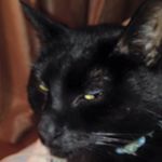 Jackie Fulton - @jackiefulton2010 - Instagram