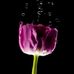 Jackie Gary - Facebook