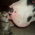 Jackie Borden Gerber - @jackiegerber24 - Instagram