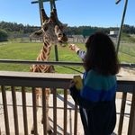 Jackie German - @jackie.german.14 - Instagram