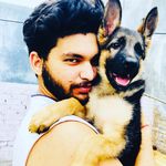Jackie, German Shepherd - @german_shepherd_jackie - Instagram
