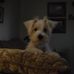 Jackie Goetz - Facebook