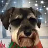 Jackie Grayson967 - @jackieg536 - TikTok