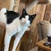 Jackie Grayson - Facebook