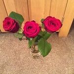Jackie Gregory - @gregory_jackie - Instagram