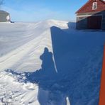Jackie Griep - Facebook