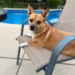 Jackie Grimm Johnston - @jackjohn62 - Instagram