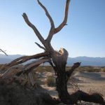 Jackie Gross - @whitedragon3071 - Instagram
