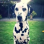 Jackie Groves - @jackiegroves1 - Instagram