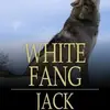 Jackie Guy - @jackie.guy69 - TikTok