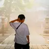 jackietheguy - @jackie_the_guy - TikTok