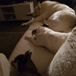 Jackie Hampton - @hampton5350 - Instagram
