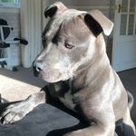 Jack Hanlon - @hanlon_jack - Instagram