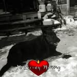 Jackie Hanlon - @nonlonhanlon - Instagram