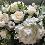 Jackie Hanlon - @jackie.hanlon.71 - Instagram