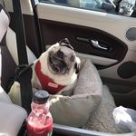 Jackie Hardman - @saltyzulu - Instagram