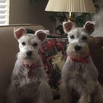 Jackie Northcutt Hardwick - @yoakumtx - Instagram