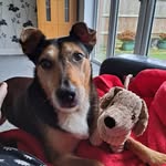 Jackie Hare - @jackie_hare - Instagram