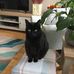 Jackie Hare - Facebook