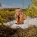Jaci Hartman - Facebook