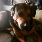 Jackie Hatfield - @hatfield5839 - Instagram