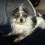 Jackie Hausman - @hausmanjackie - Instagram