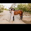 Jackie - @jackie.hawks - TikTok