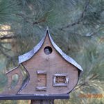 Jackie Hawks - @grhorse1 - Instagram