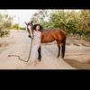 Jackie - @jackie.hawks - TikTok