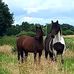 Jacqueline Hermes - Facebook