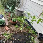 Jackie Herrington - @jackieof.all.trades - Instagram