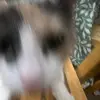 jack hickerson - @jack.hickerson - TikTok