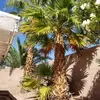 jackiehippert - @jackiehippert - TikTok