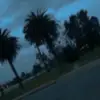 Jackie Hocking - @jackie.hocking - TikTok