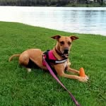 Jacki Hocking - @hockingjacki - Instagram