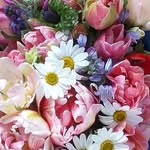 Jackie Hocking - @jackie.hocking.73 - Instagram
