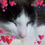 Jackie Hogan - @nidmfdjf - Instagram