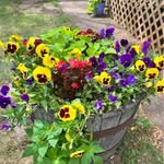 Jackie Holbrook - @jackie.holbrook.09 - Instagram
