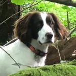 Jackie Holder - @jackie.holder.144 - Instagram