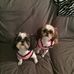 Jackie Holifield - Facebook
