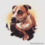 Jackie Holt - @jackieholt20 - Instagram