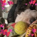 Jackie Holt Moore - @lollienpops - Instagram