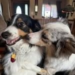 Jackie Hopper - @jackiehopper48 - Instagram